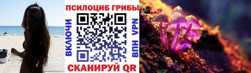 shop телеграм  Нововоронеж  Псилоцибиновые грибы ЛСД 